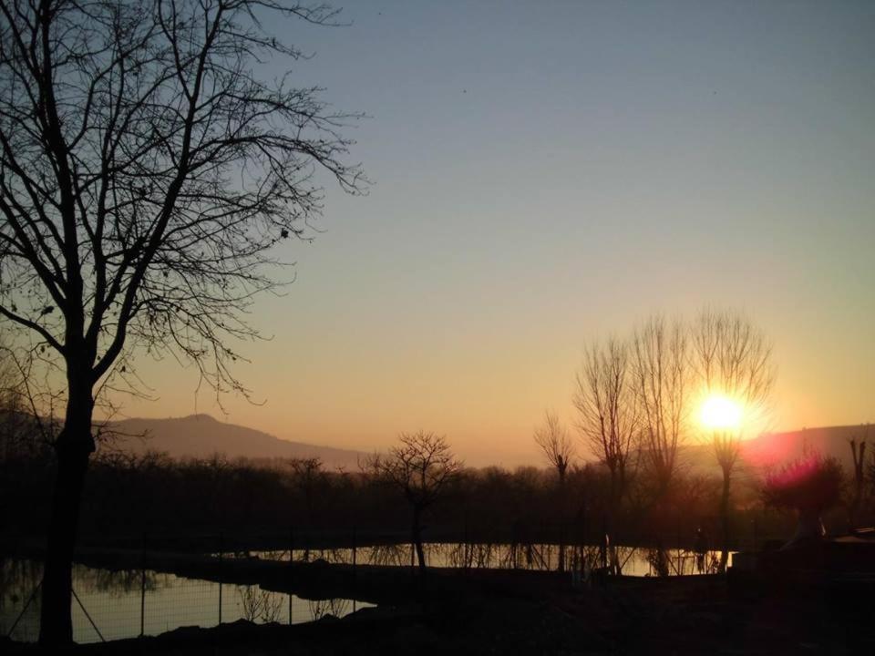 La Fontanella Hotell Montecchia di Crosara Exteriör bild